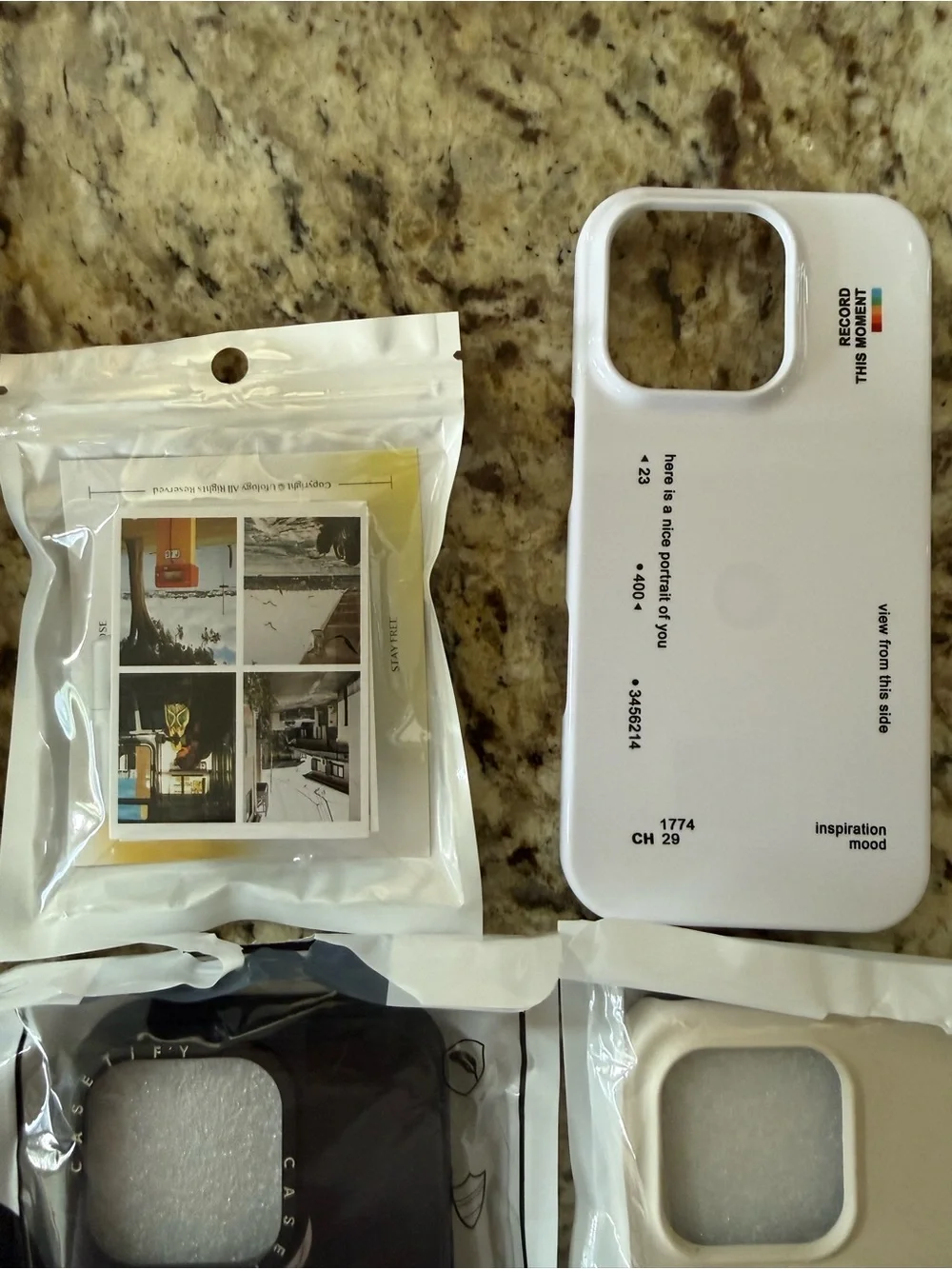 iPhone 16 Pro Cases